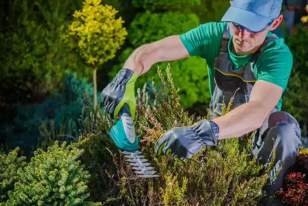 landscaping services Bellefonte